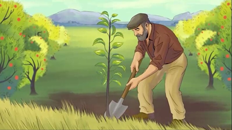 موشن گرافیک پویش وقف درخت